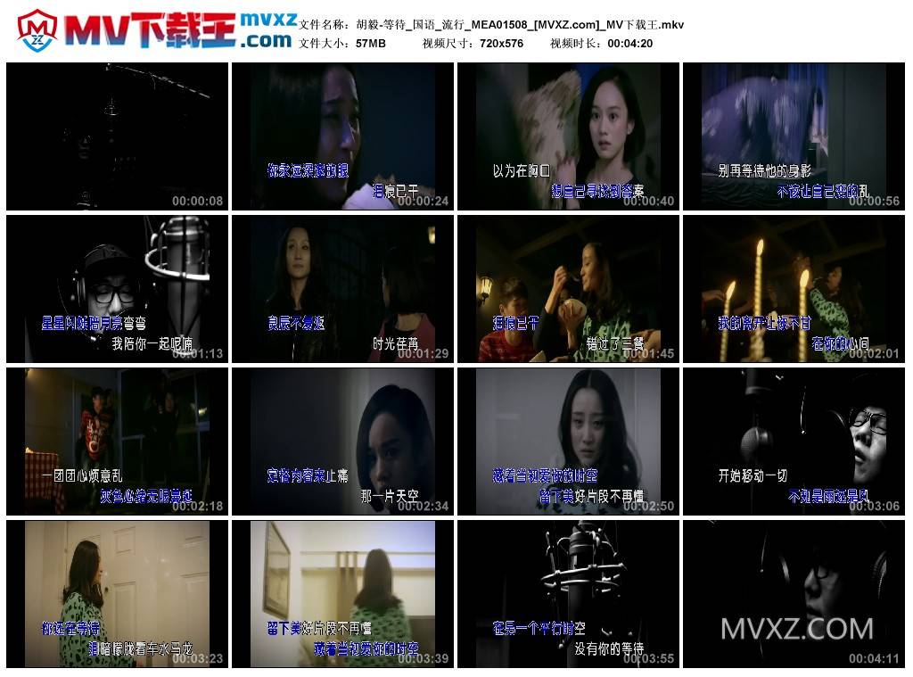 胡毅-等待_国语_流行_MEA01508